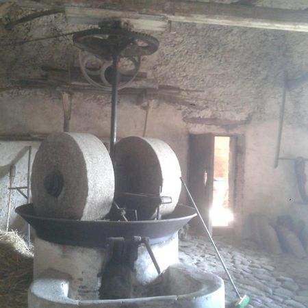Agriturismo Frantoio Mafrica Limbadi Bagian luar foto
